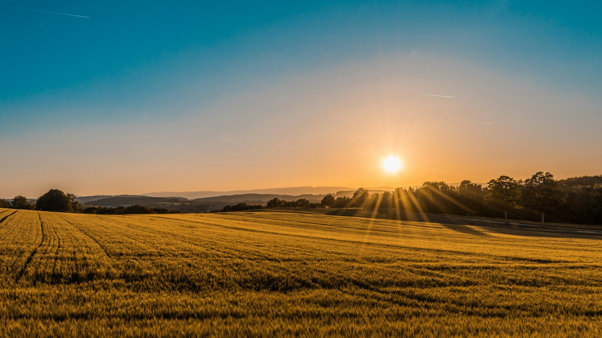Australian agricultural field
